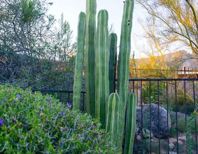 Hacienda Riad: Free Pool Heat, Hot Tub, Views Tucson